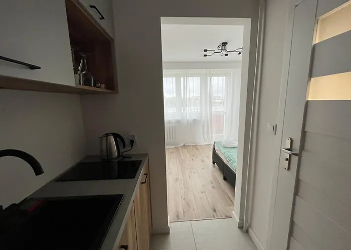 Nowoczesny Centrum Przy Pkp Apartmán Čenstochová